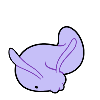 Long Rhinophore