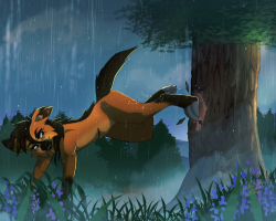 Submission thumbnail